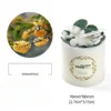 Canción de Osmanthus a la luz de la luna [Hortensia]