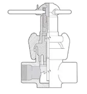 Válvula de lama do API 6A válvula de porta 70Mpa de 5000 libras por polegada quadrada com conexão e jogos de reparação de extremidade da linha