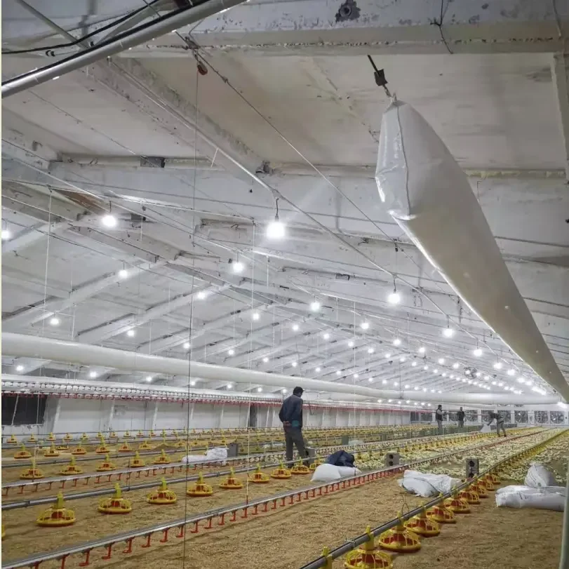 Turnkey Solution Automatic Broiler Breeder Layer Chicken Poultry Floor Cage Farming Raising Growing Equipment Machine System