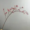 Small single red rosehip