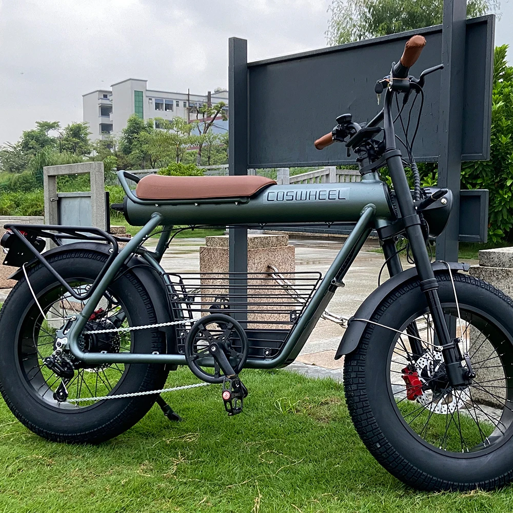 Coswheel Electric Bikes - 20 Inch Fat Tire off Road Bikes