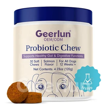 ODM OEM Dog Soft Chews Probiotics Pet Supplements Improve Digestive Seasonal Allergies Salmon Flavor Probiotics Chew Tablets