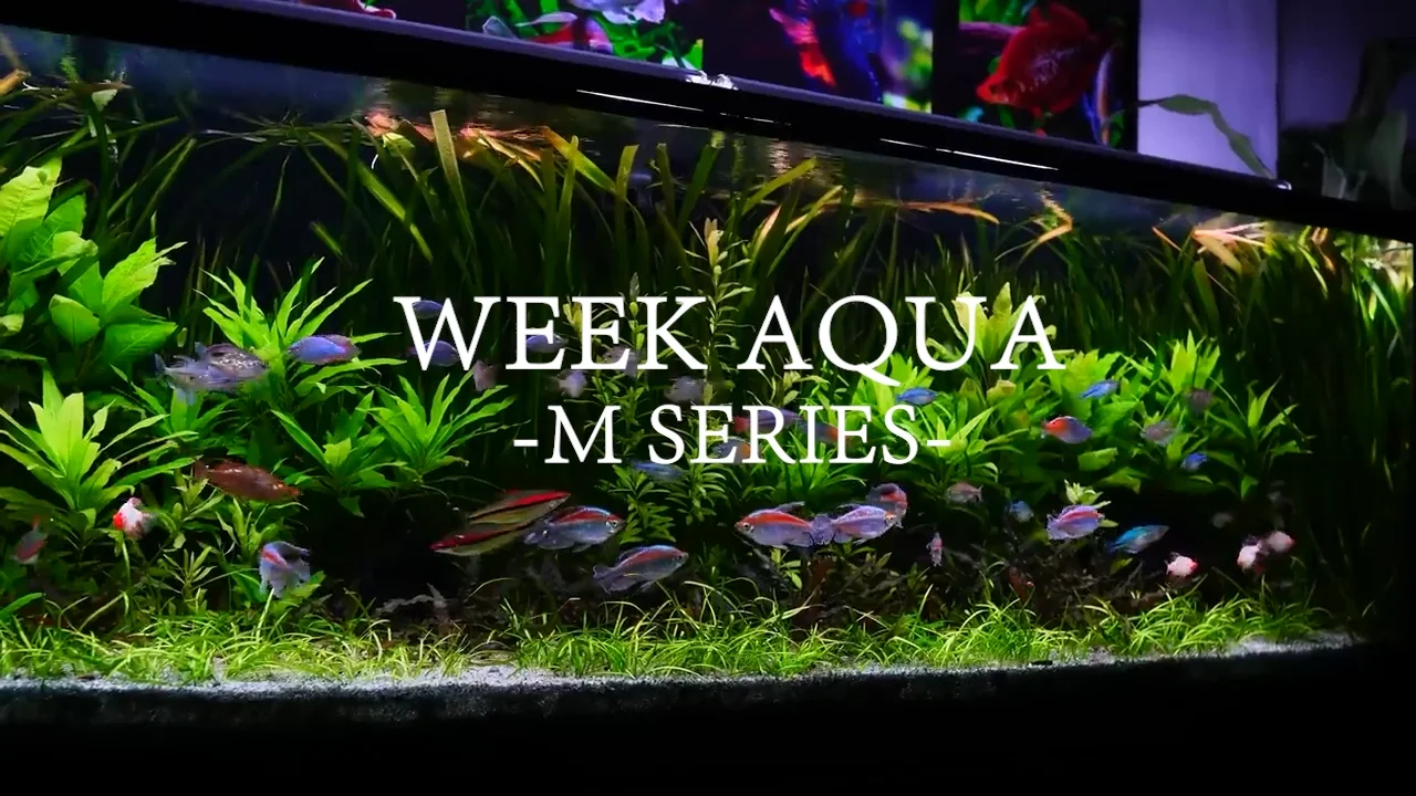 WEEK AQUA Mシリーズ 水槽用ライト RGBライト M300 H51671f13584b4775bfe53d3b6f595