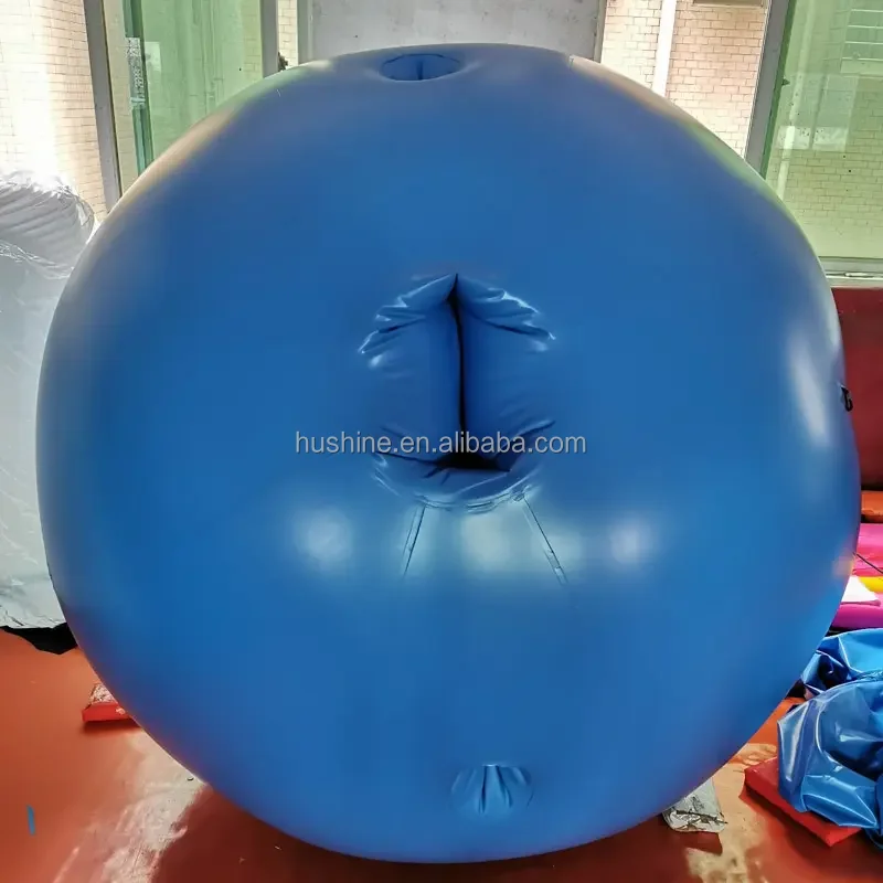 Factory Price Inflatable Pvc Ball Game Suit Inflatable Blueberry Suit Buy Inflatable Blueberry