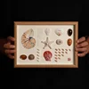 31*23*3cm