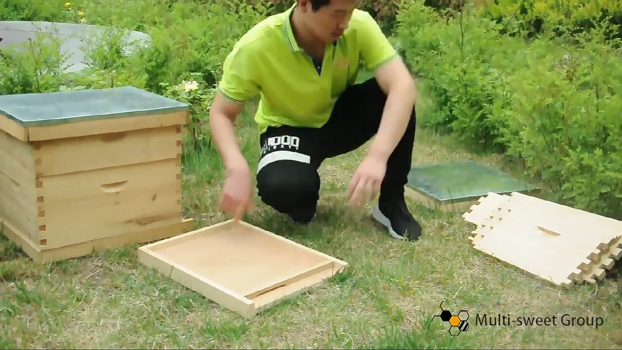 Wholesale Beekeeping Supplies Langstroth Bee Hive Brood Box Bee Box