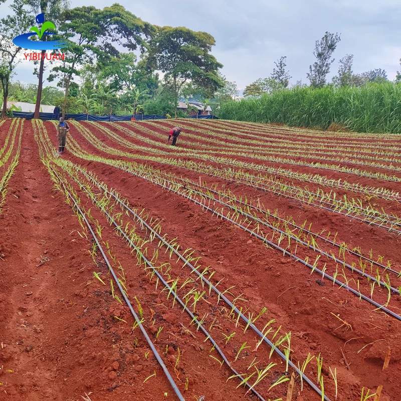 Drip Tape 16mm Onion Drip Irrigation System for Maize and Soybean Farm Drip Lines