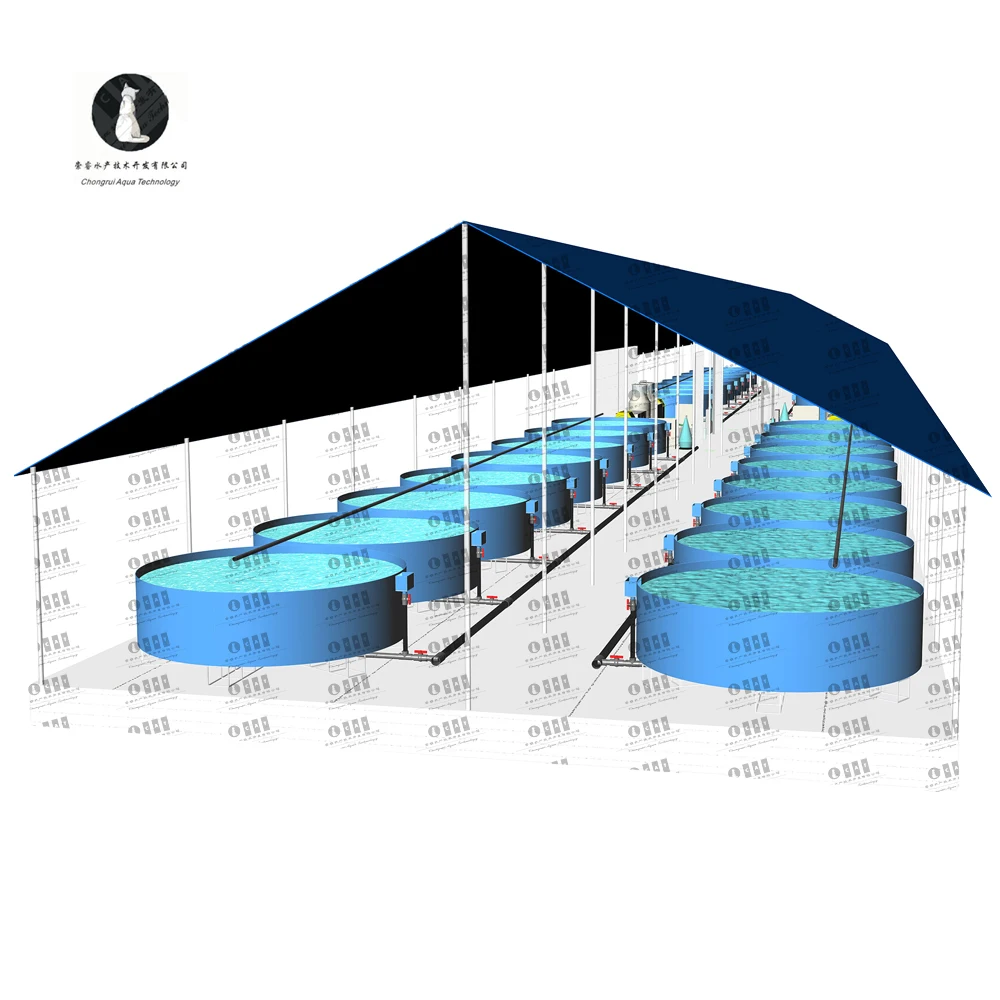 Система фильтрации для рыбной фермы Ras, современное сельскохозяйственное оборудование для рыбной фермы, инструменты для продажи