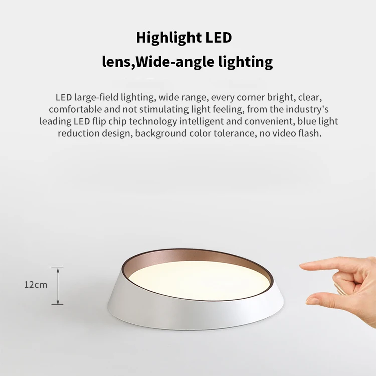 Minimalist Designer Ceiling Light Circular LED Diagonal Modern Nordic Study Pendant Light