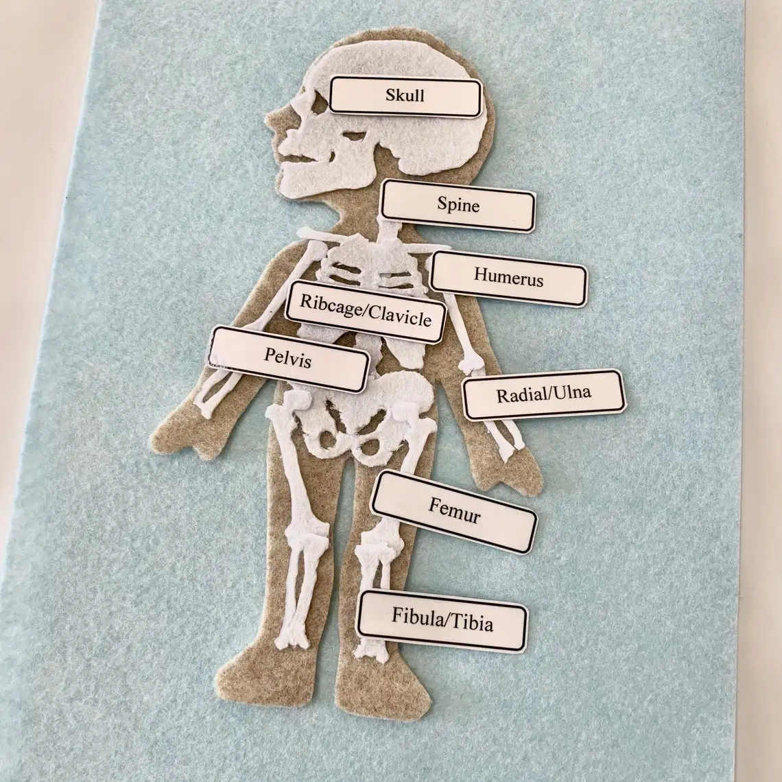 Handmade Activity My Body Puzzle 2023 Educational Toys Science Montessori Human Anatomy Felt Board