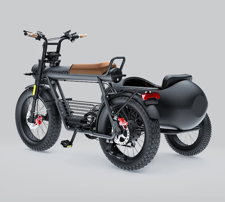 Coswheel Side Car Pedal Assist Bike Sidecar To Carry Pets Electric Fat