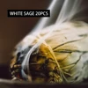 WHITE SAGE