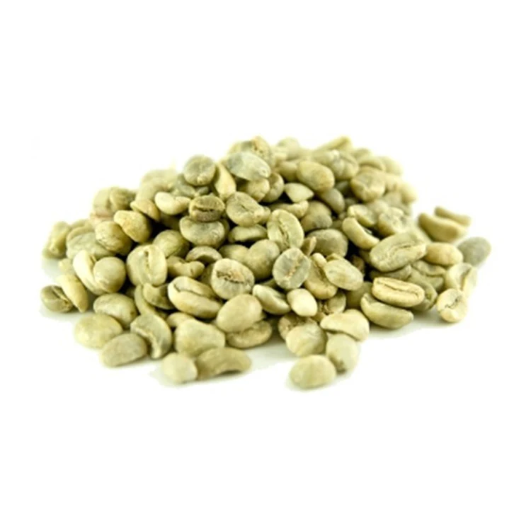 coffee bean 9.jpg
