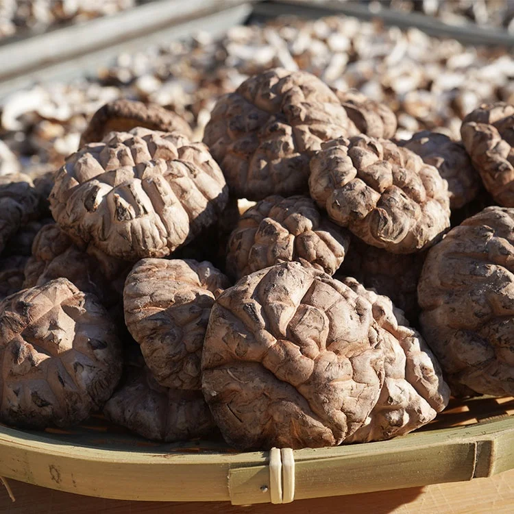 Сушеный цветочный гриб шиитаке высшего уровня