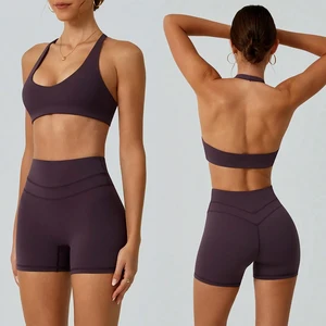 Custom Quick Dry High Waisted Yoga Shorts Sports Bra 2 Pieces Workout Apparel Fitness Yoga Wear