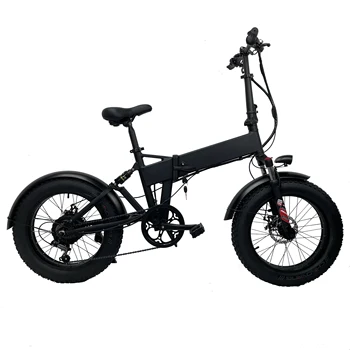 CXZN-EB03 48V750W 14.5Ah ebike 20 inch electric folding bicycle 7 speed adults electric commuting bike 25-50km/h 40-60km range