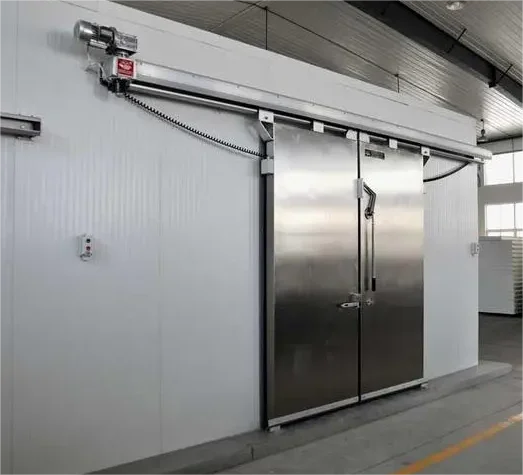 Cold Room and Blast Freezer for Chicken and Beef