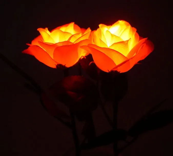 Romantic LED Light-Up Plastic Rose Valentine's Day Weddings Graduations Christmas Heart-Shaped Artificial Rose Love Packaged Box