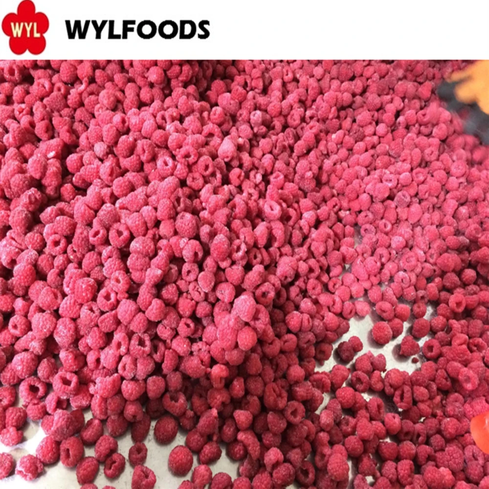 Best Price of Frozen Raspberry Whole for in Bulk Wholesales