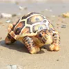 Simulated tortoise-brown-20 cm-65 g