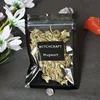 Artemisia