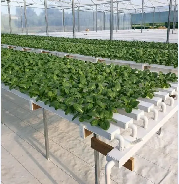 hydroponic net cup