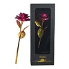 Black box fuchsia roses