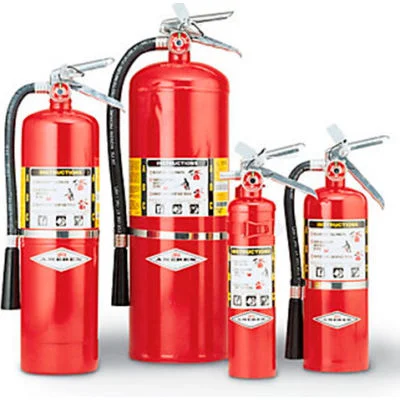 Extincteur Powder Fire Extinguisher Car Mini Extinguishers for Sale Extintores De Incendios Dry Extintor Pqs Extinguisher