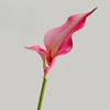 60cm Pink
