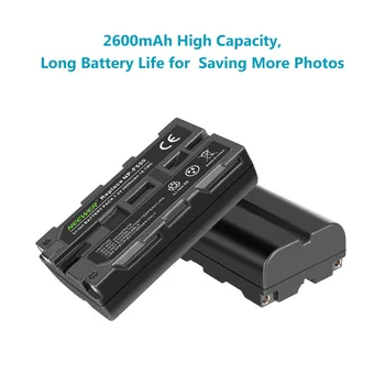 Neewer NP-F550 Battery Charger Set for  NP-F970 F750 F960 F530 F570 CCD-SC55 TR516 TR716 and More 2-Pack 2600 Replacement detail image