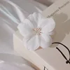 White cherry blossoms
