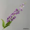 High-branch lily of the valley