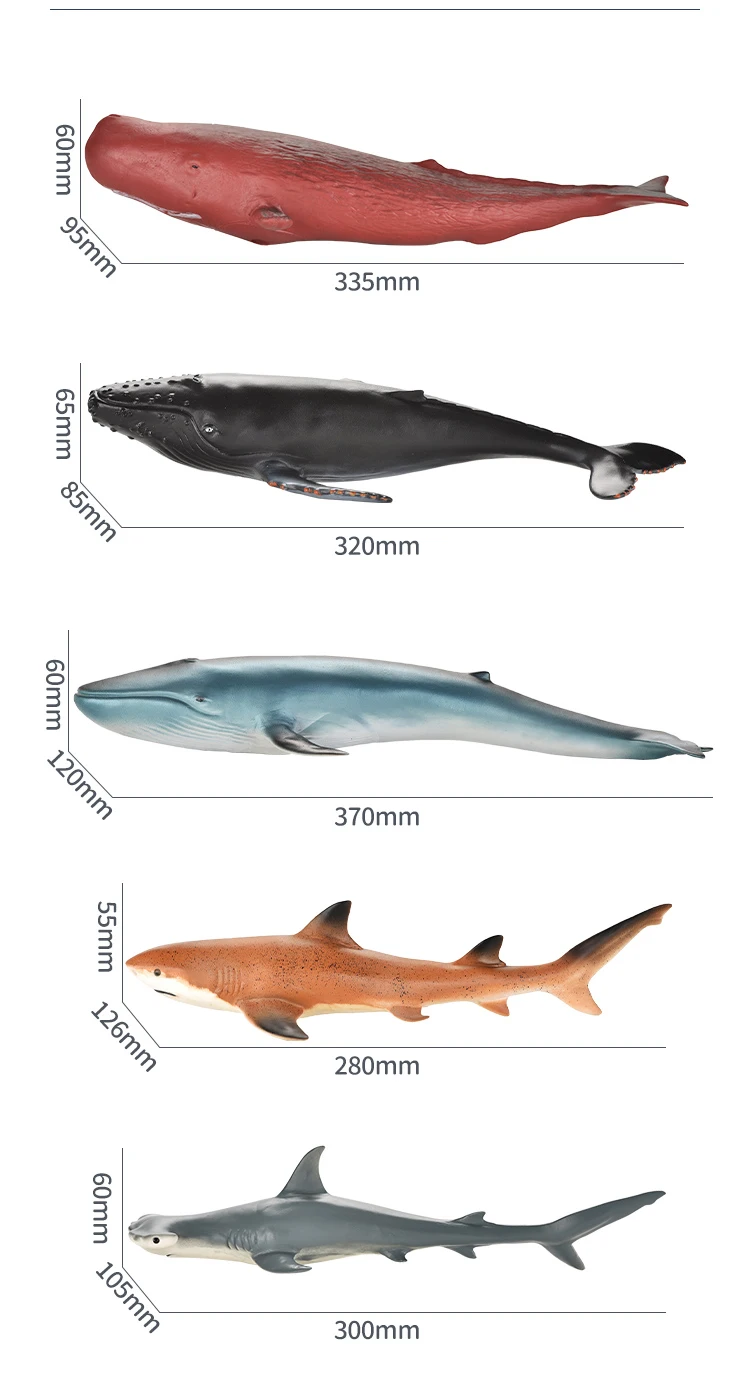Qs 장난감 시뮬레이션 진짜 Pvc 고무 야생 동물 해저 화이트 상어 바다 동물 장난감 모든 종류의 상어 Deap 바다 동물 모델 - Buy  시뮬레이션 진짜 Pvc 고무 야생 동물 해저,화이트 상어 바다
