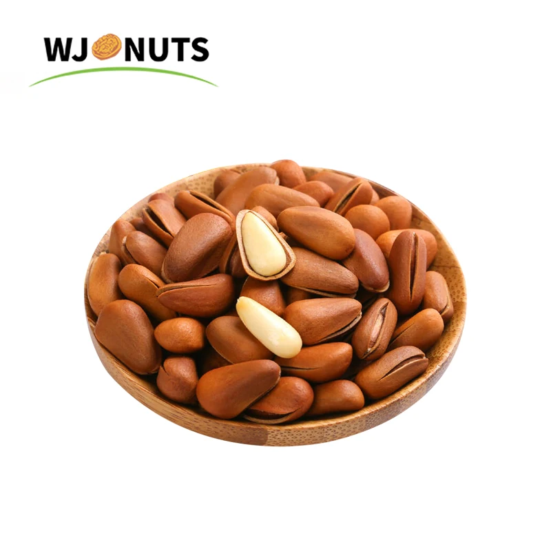 wangjiang factory wholesale top sell the brazil raw pine nut - b