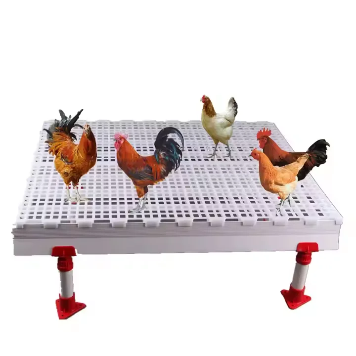 Easy Cleaning Strength Poultry Raised Shed Plastic Flooring Chicken Chick Hen Cock Broiler Plastic Slatted Floor manufacture