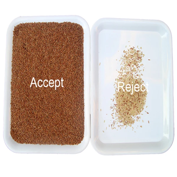 KM Series Sorting Machine High Quality Nuts Color Sorter