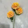 สีส้ม