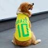 colorful Yellow No. 10 Brazil