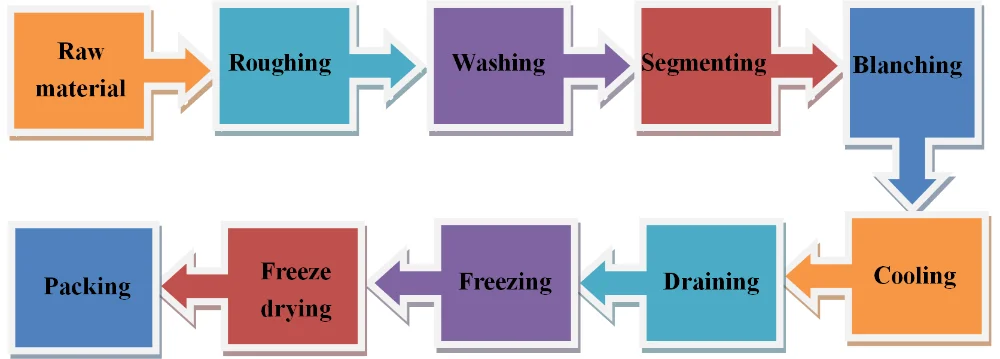 Drying process. Process freeze drying.