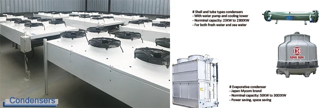 Cold Room Storage, Solar, 220V, 800ton - detail 18