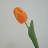 ราฟิเต้ สีส้มทิวลิป