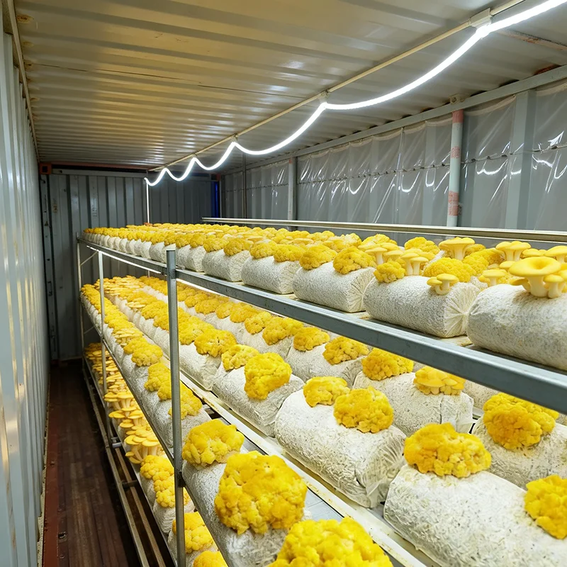 H51befc6b2d394e5584b1fef357d99c77d