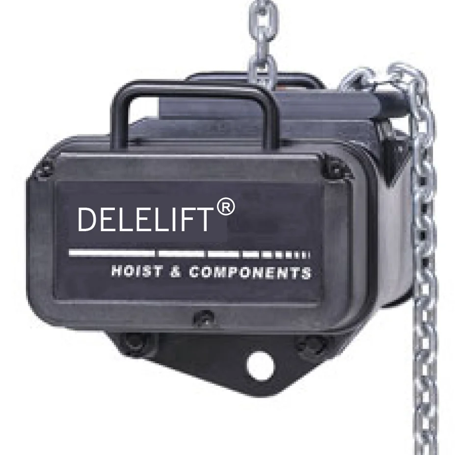 Professional Supplier Chain Hoist Remote Control Hoist for Lifting Equipment the Disabled Stage Hoist