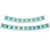 Blue its a boy