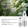 Tea Tree (Australia)