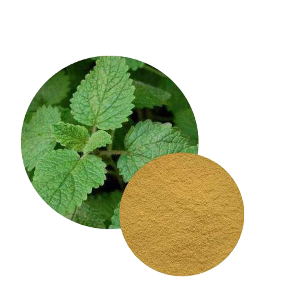 蜜蜂花提取物 Buy 香蜂草叶提取物 Melissa提取物 香蜂草提取物product On Alibaba Com