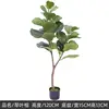 Plantes vertes 7