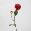 Petite Dahlia pennée (rouge vif)