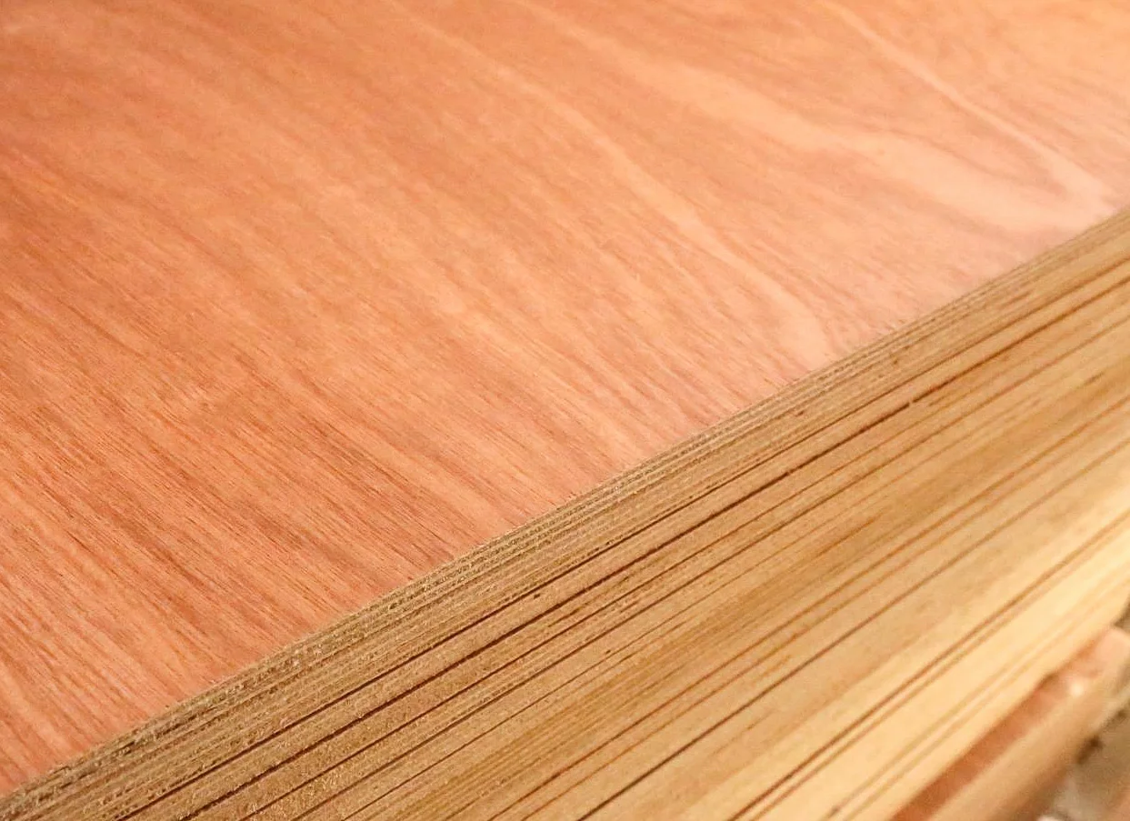 Bintangor Pine Okoume Sapele Poplar Birch Red Oak Plywood details