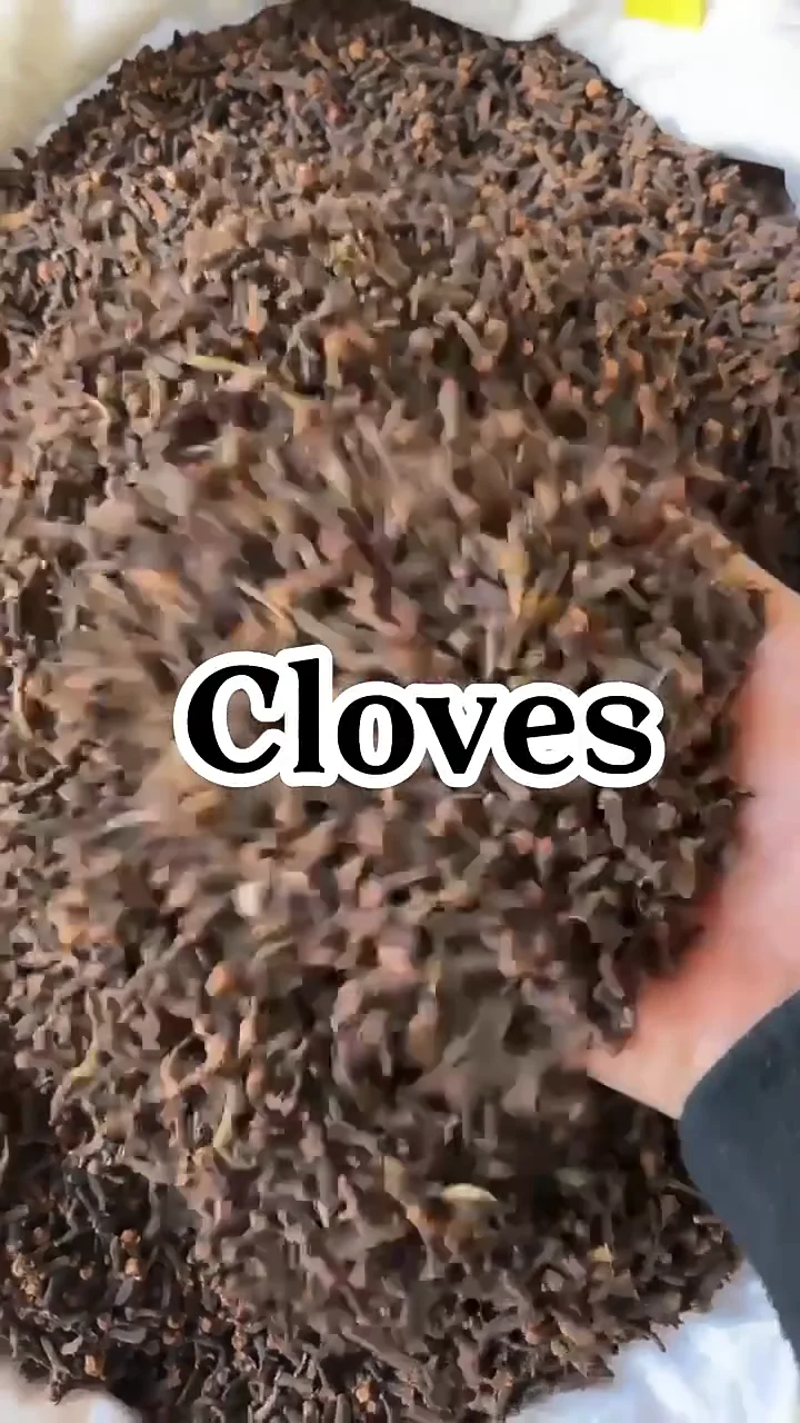 Qingchun High Quality Natural Raw Cloves Spices Export Oriented Hot